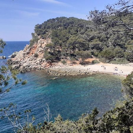 Bandol Maison De Campagne ภายนอก รูปภาพ